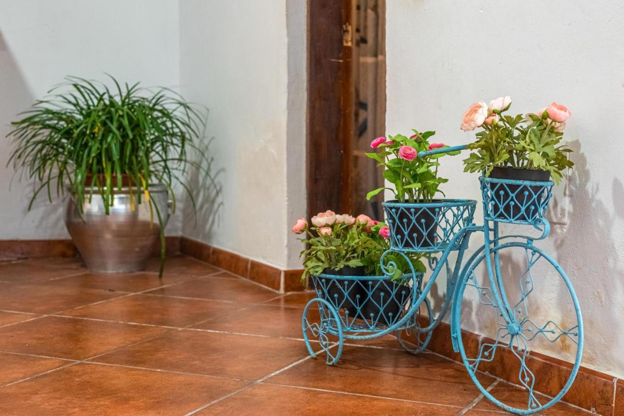 Ferienhaus Ca Sa Cristeta De Sescola